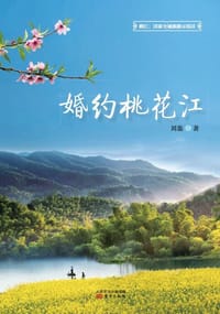 书籍 婚约桃花江的封面