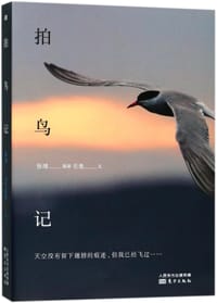 拍鸟记