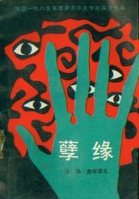 书籍 孽缘的封面