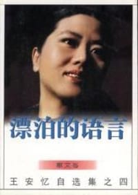 书籍 漂泊的语言的封面