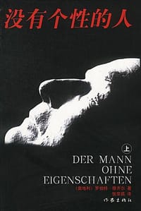书籍 没有个性的人（上下）的封面
