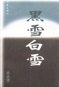 黑雪白雪 - 孙浩