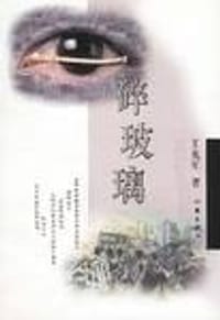 书籍 碎玻璃的封面