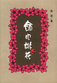 命犯桃花 - 赵赵