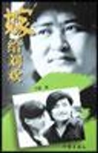 书籍 嫁给刘欢的封面