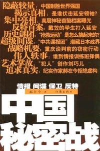 书籍 中国秘密战的封面