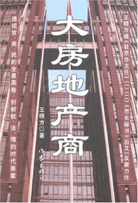 书籍 大房地产商的封面