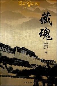藏魂