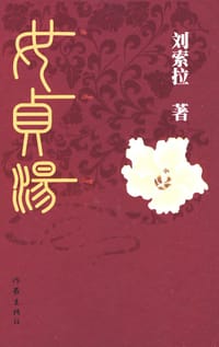 书籍 女贞汤的封面