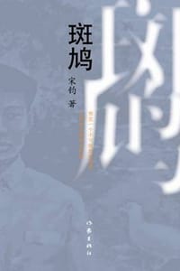 斑鸠 - 宋钧