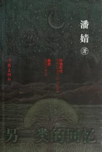 另一类的回忆