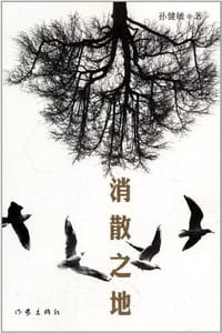 书籍 消散之地的封面