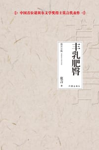 书籍 丰乳肥臀的封面