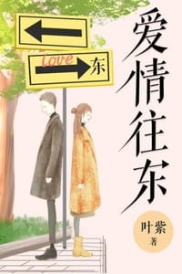 书籍 爱情往东的封面