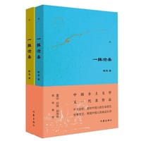 书籍 一抹沧桑(上下)的封面