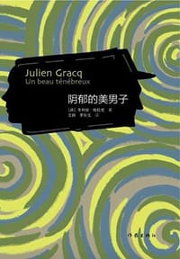 书籍 阴郁的美男子的封面