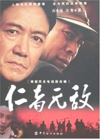 书籍 仁者无敌的封面