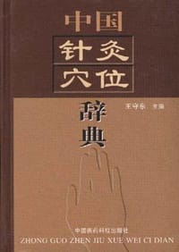 书籍 中国针灸穴位辞典的封面