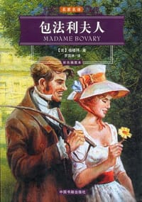 书籍 包法利夫人的封面