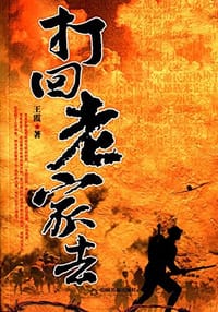 书籍 打回老家去的封面