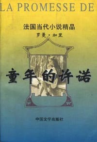 书籍 童年的许诺的封面