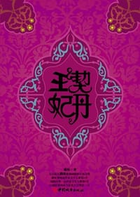 书籍 契丹王妃的封面