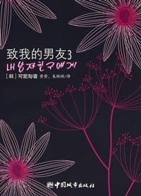 书籍 致我的男友3的封面