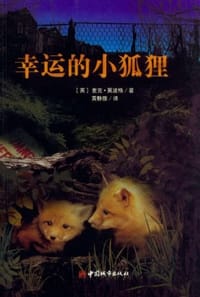 书籍 幸运的小狐狸的封面