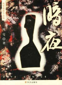 书籍 暗夜的封面