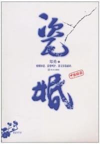 书籍 瓷婚的封面