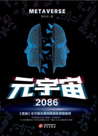 元宇宙2086 - 高泽龙