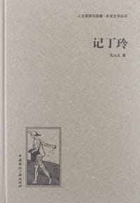 书籍 记丁玲的封面