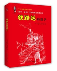 书籍 少年奇幻系列的封面