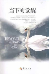 当下的觉醒 - 乔治·布莱斯切克