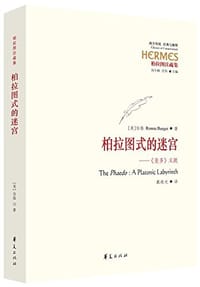 书籍 柏拉图式的迷宫的封面