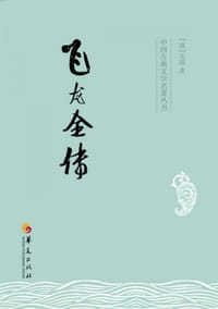 飞龙全传 - 无名图书