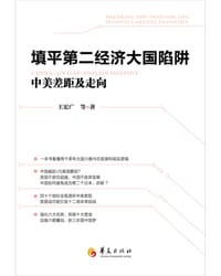 填平第二经济大国陷阱 - 王宏广