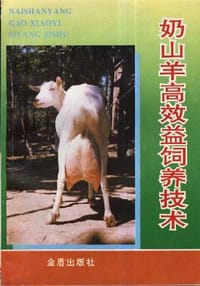 奶山羊高效益饲养技术