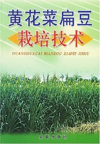 黄花菜扁豆栽培技术