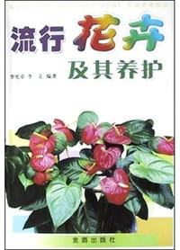 书籍 流行花卉及其养护的封面