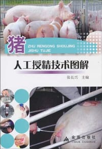 猪人工授精技术图解
