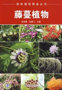 书籍 藤蔓植物的封面