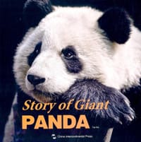 Story of Giant Panda