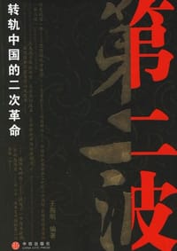 书籍 第二波的封面