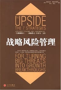 战略风险管理 - （美）斯莱沃斯基