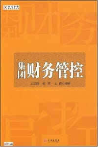集团财务管控