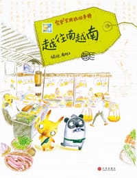 越往南越南 - 有时2