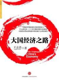 大国经济之路 - 王志浩