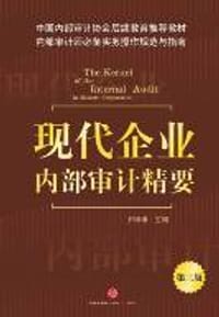 现代企业内部审计精要 - 尹维劼 主编