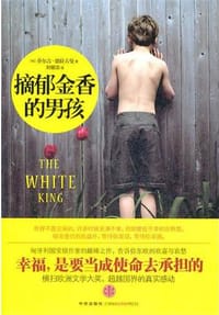 摘郁金香的男孩 - （匈）德拉古曼